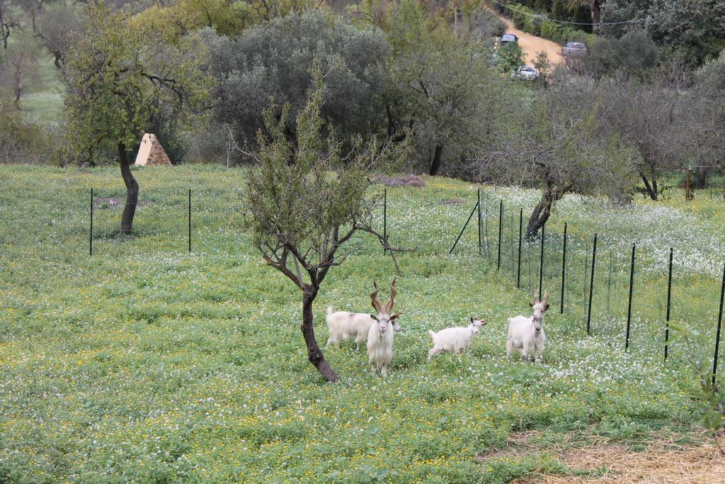 Casa Vistosa Agrigento Appartement Buitenkant foto